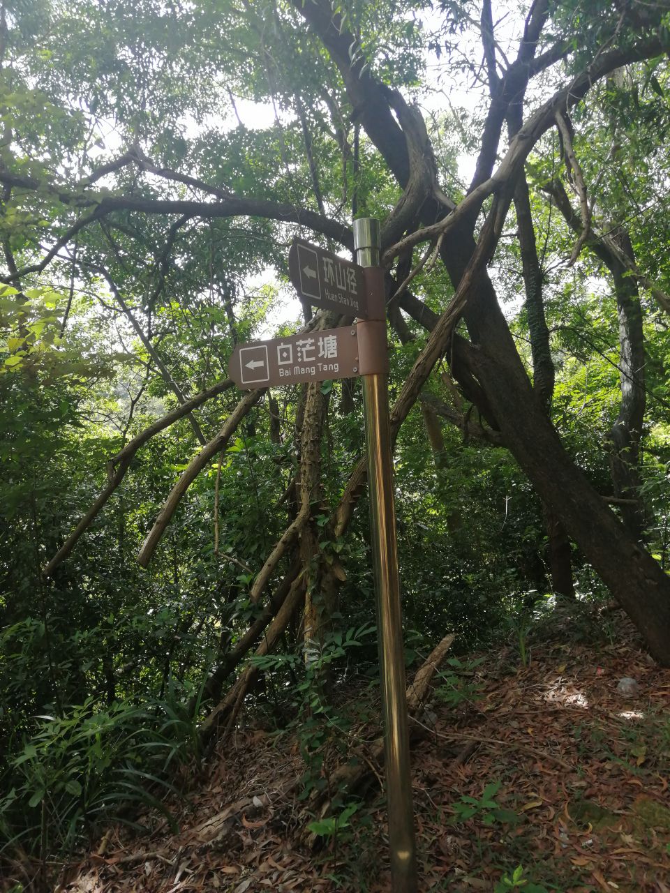 横门保卫战珊洲主题公园