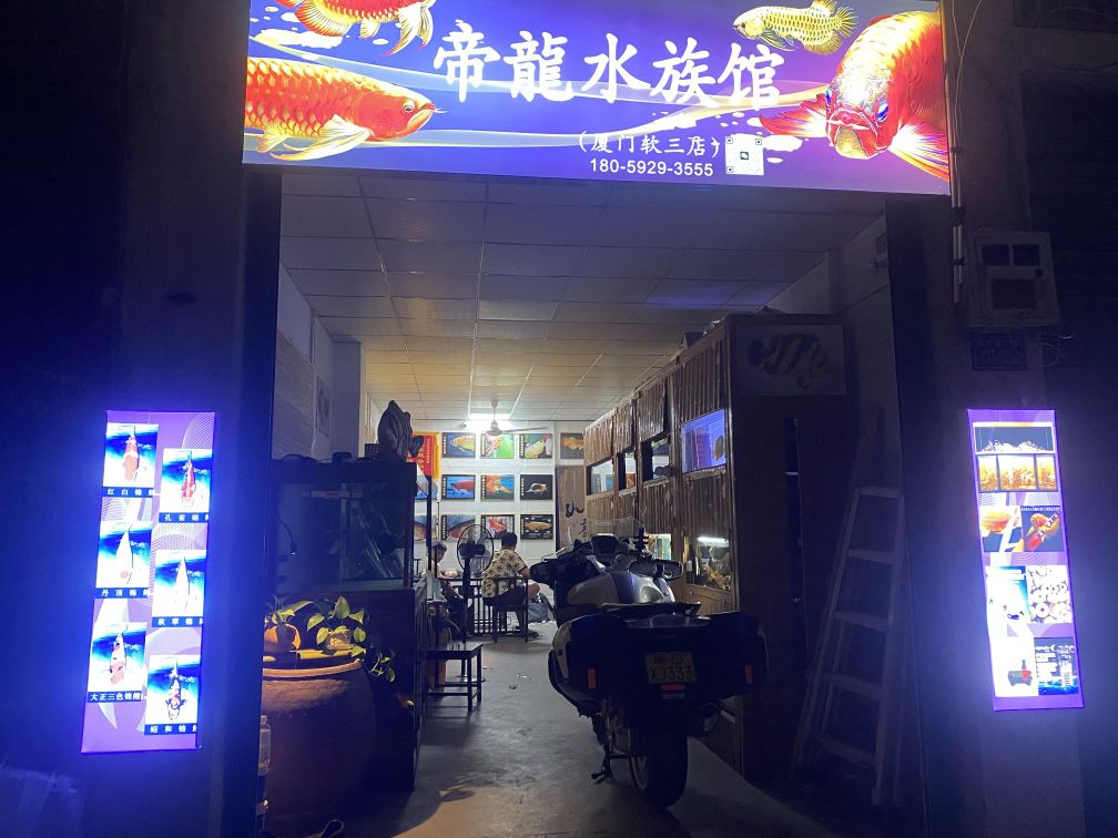 帝龙水族馆(孙坂北路店)