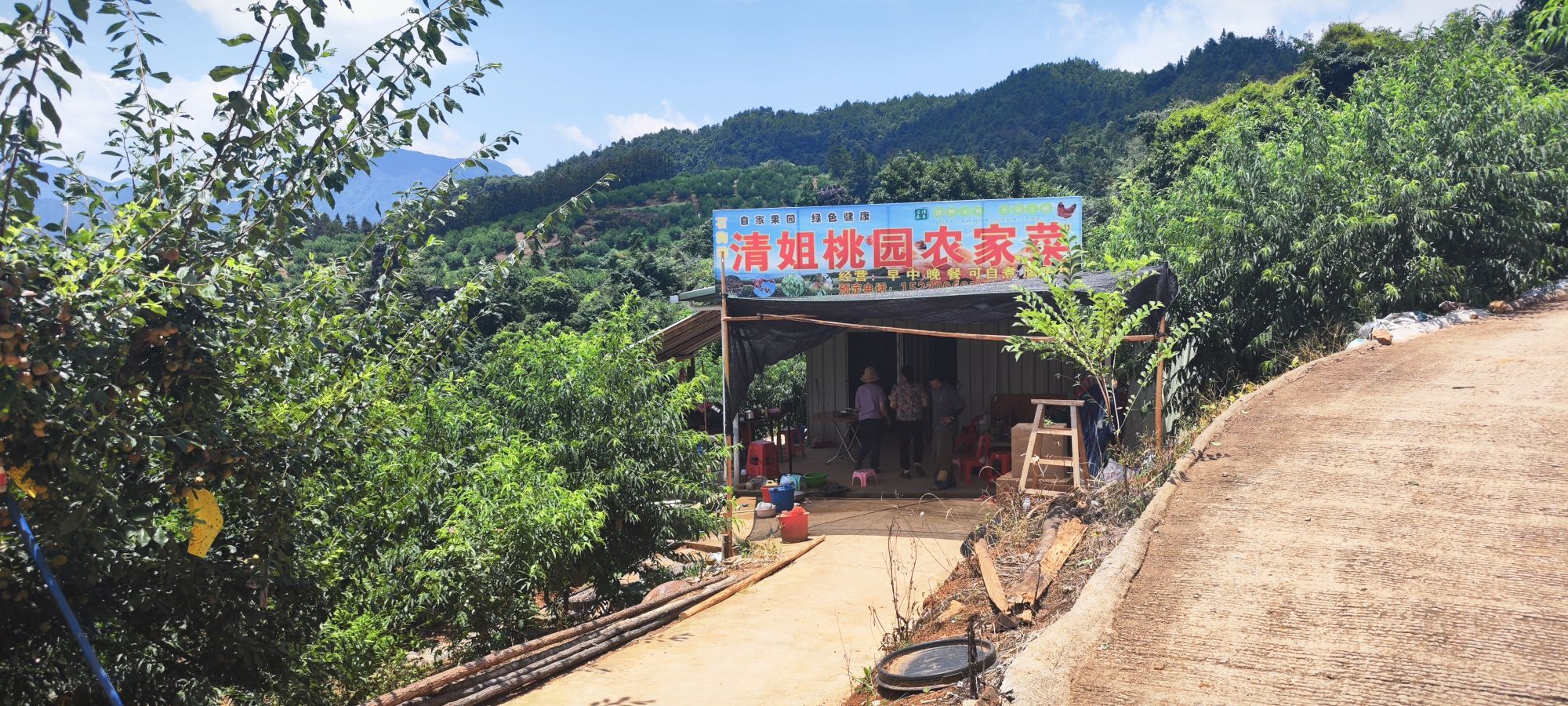 清姐桃园