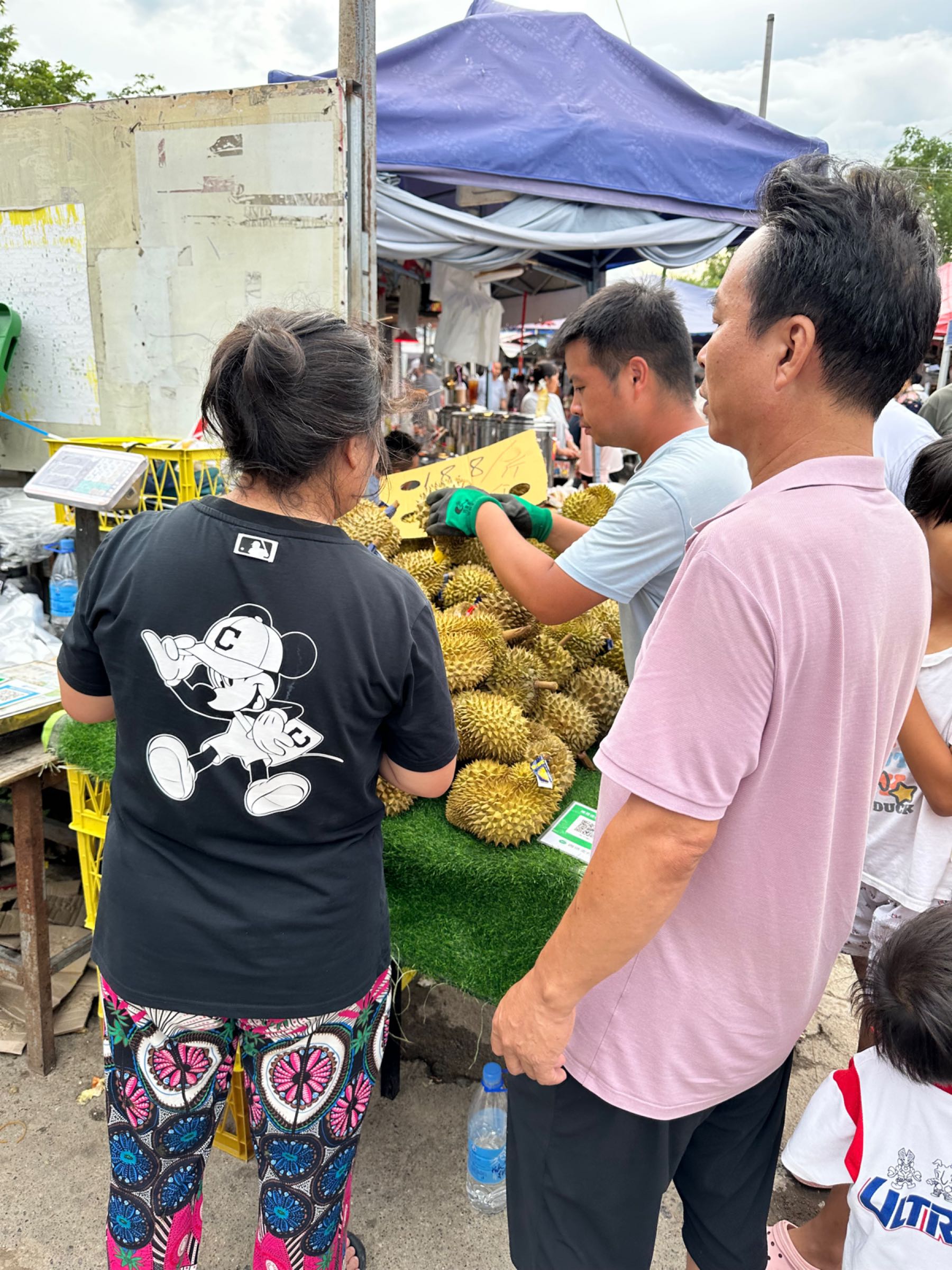 云南省西双版纳傣族自治州景洪市074乡道