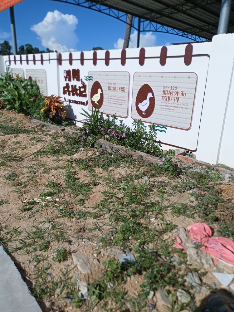 上红兴村