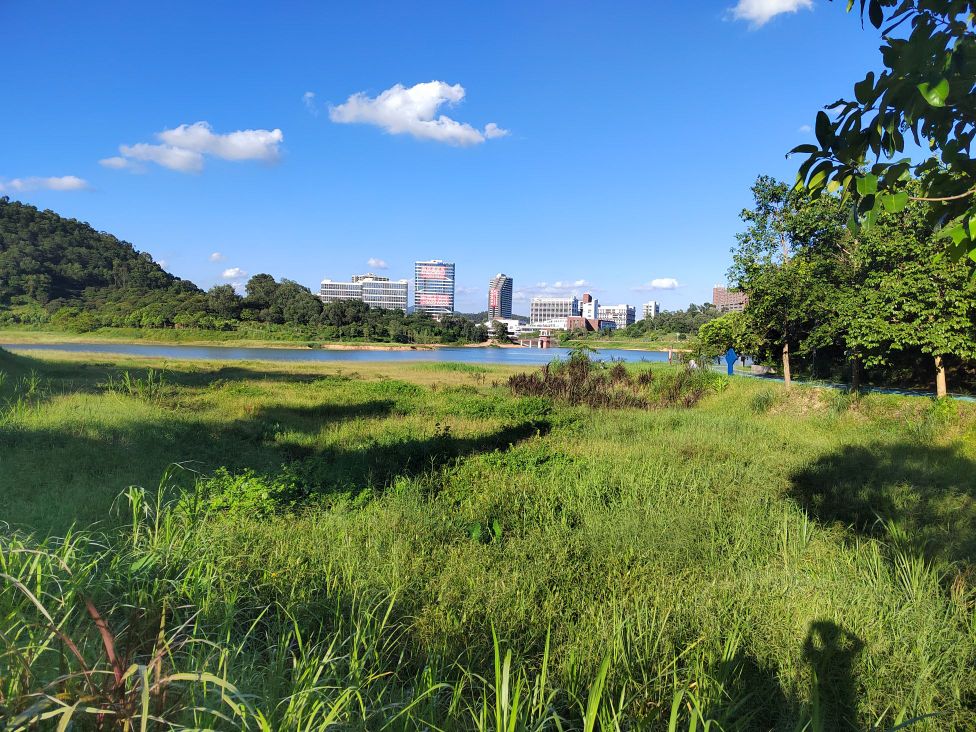 蝴蝶地水库