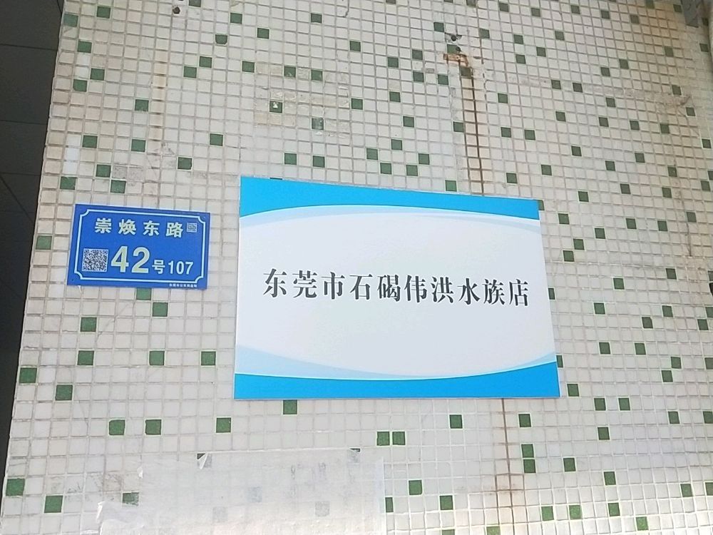 东莞市石碣伟红水族店