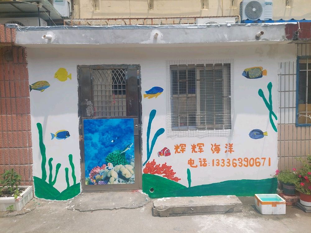 李沧区辉辉海洋水族店