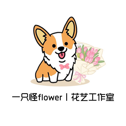 一只怪flower·花艺工作室