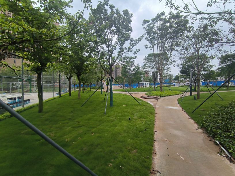 双岗公园