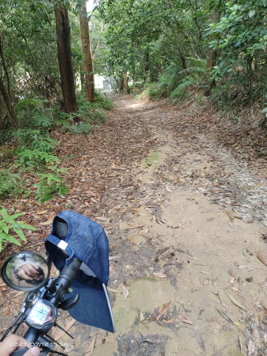 大岭山森林公园