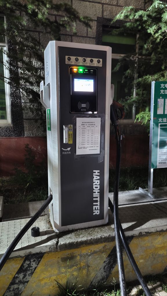 迪庆教育新能源汽车充电站