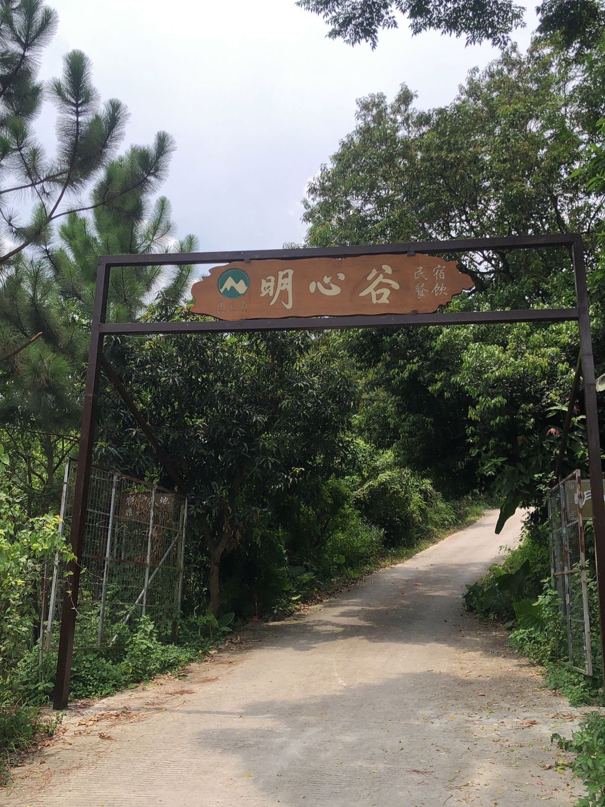 明心谷民宿餐饮