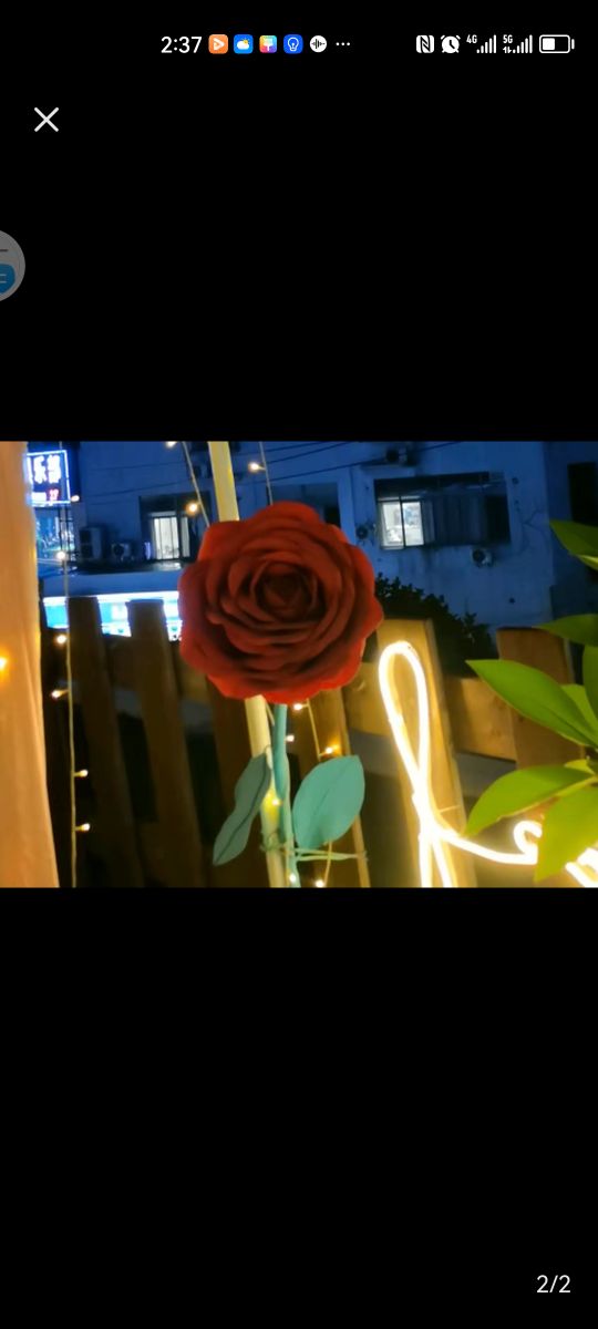 卡罗拉花园餐厅(农垦店)