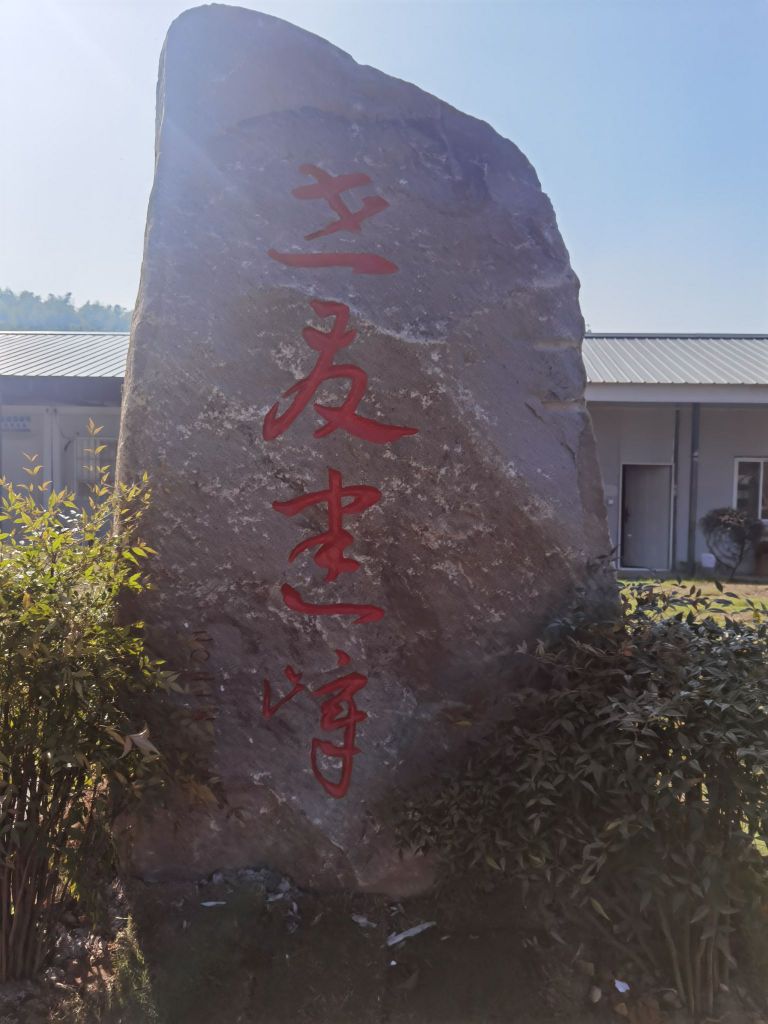 安徽世友建材