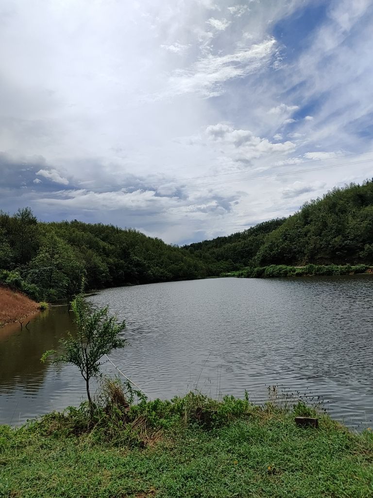 东岳庙村老王钓乐场