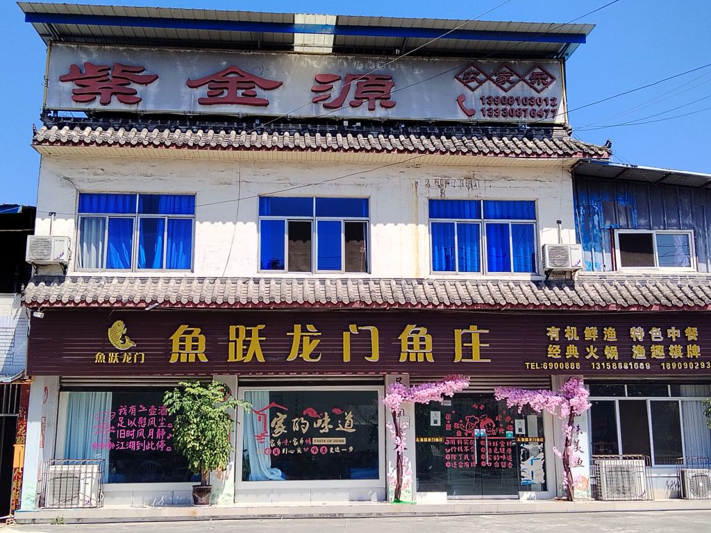 鱼跃龙门鱼庄
