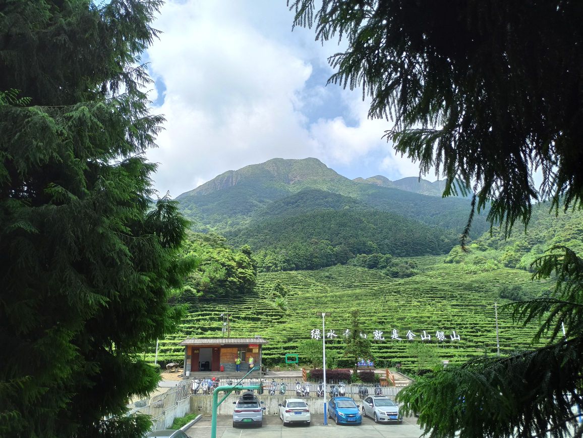 平天山茶园