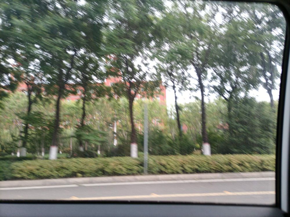 姚张村