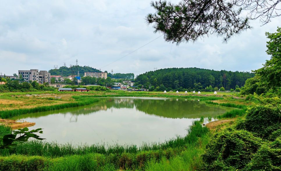 白云区都溪林室休闲草地露营地