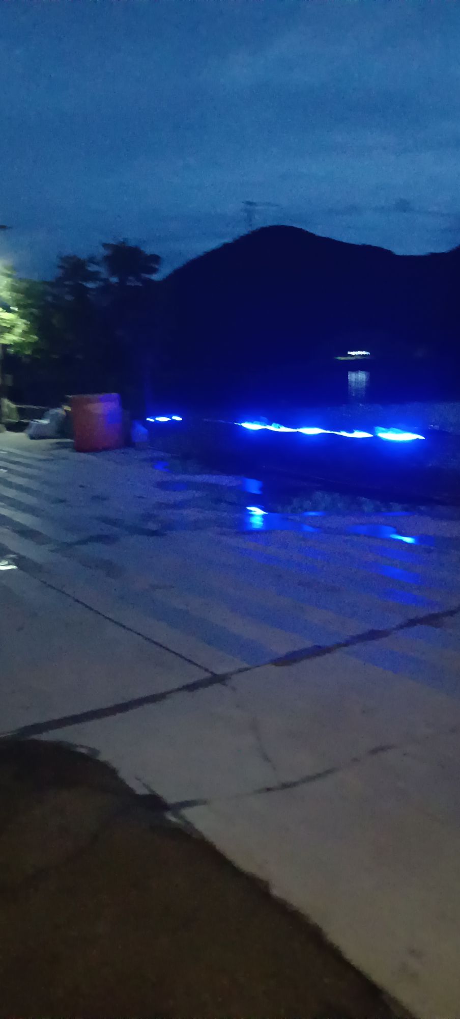 东山西湖泉水鱼钓场