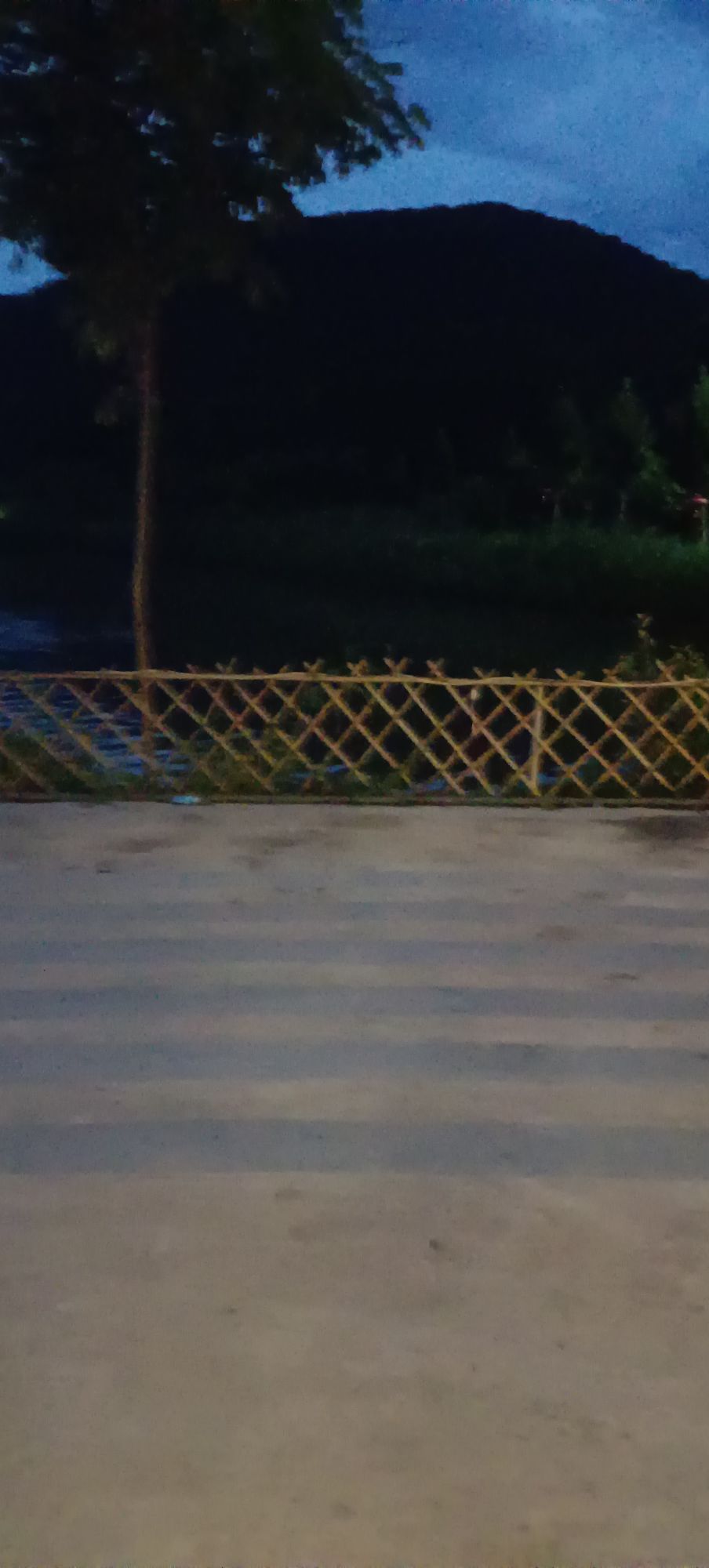 东山西湖泉水鱼钓场