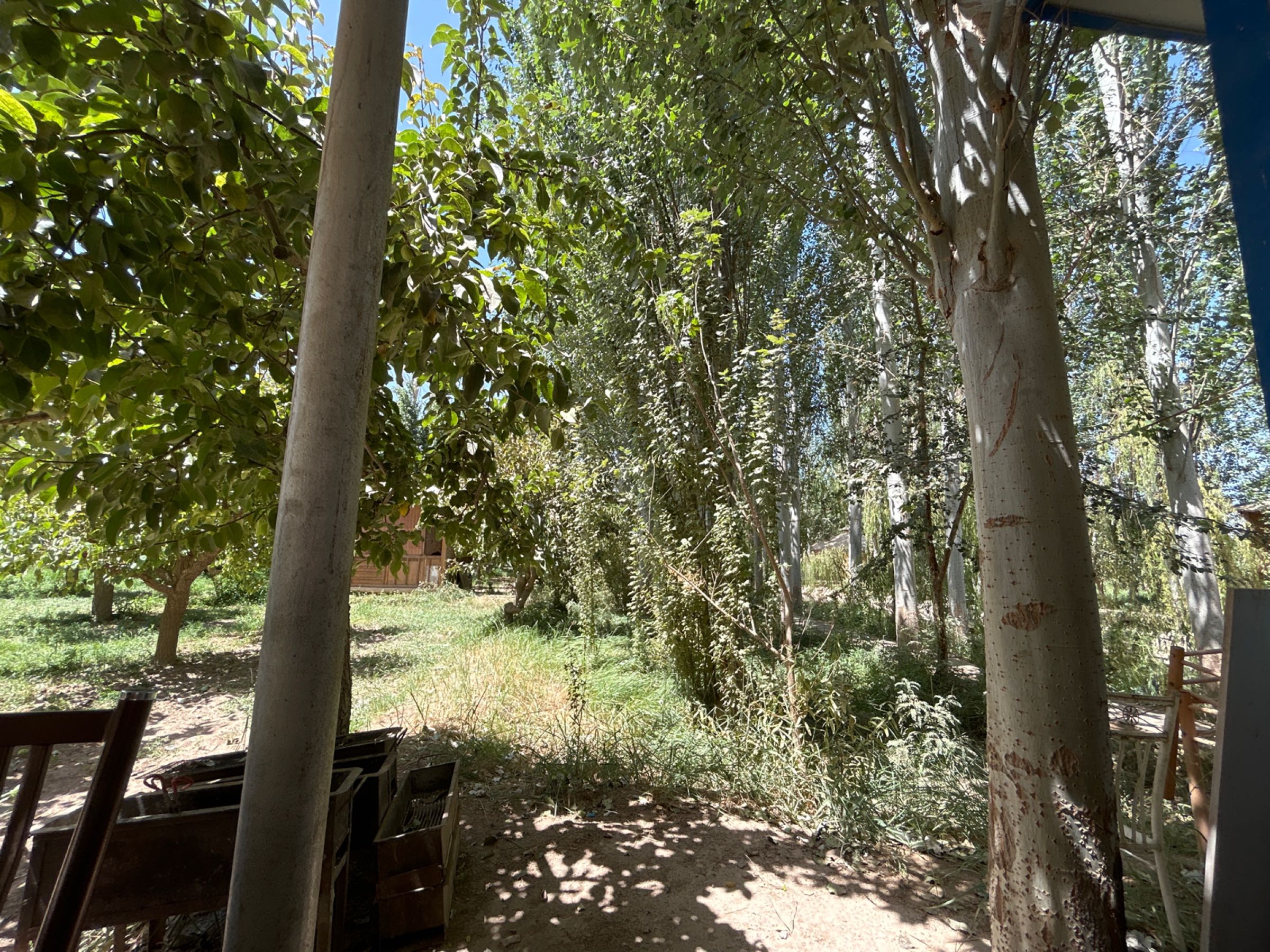 武氏田园乐美食