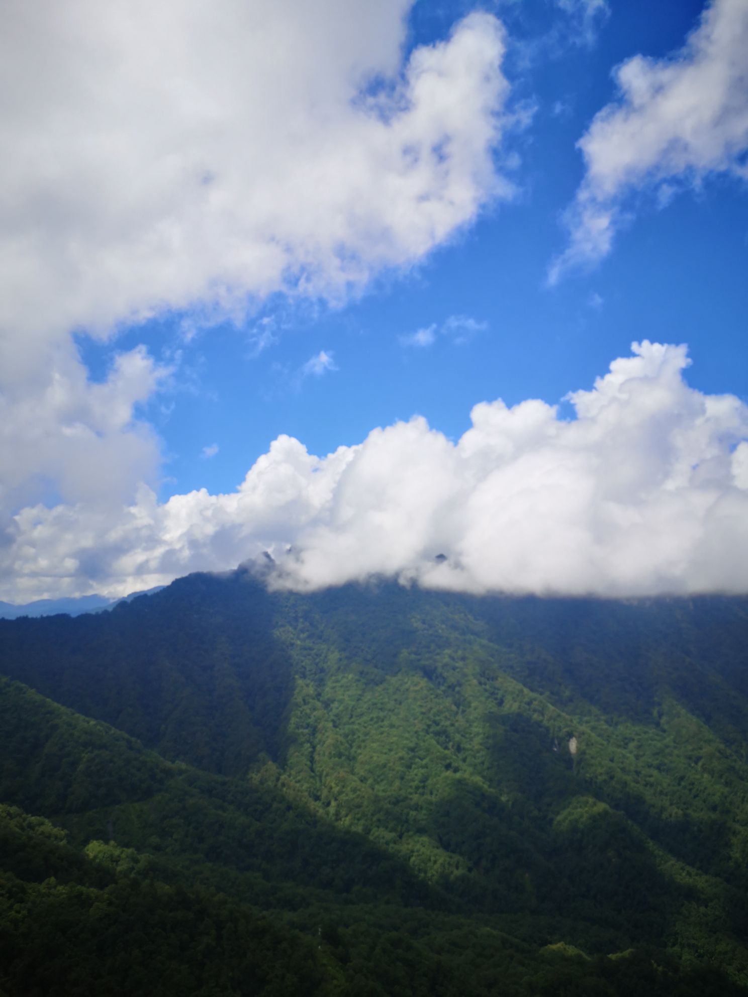 天燕原始生态旅游区-南门地上停车场