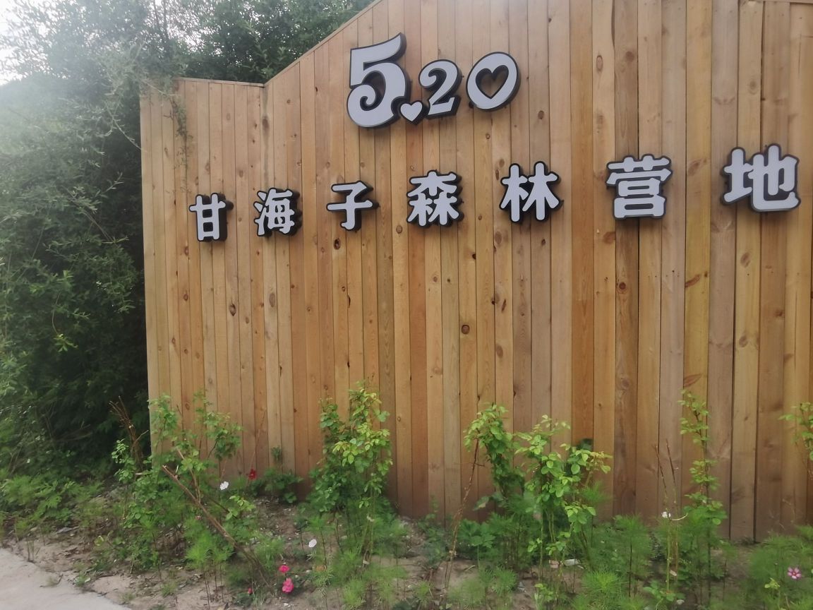 甘海子森林营地