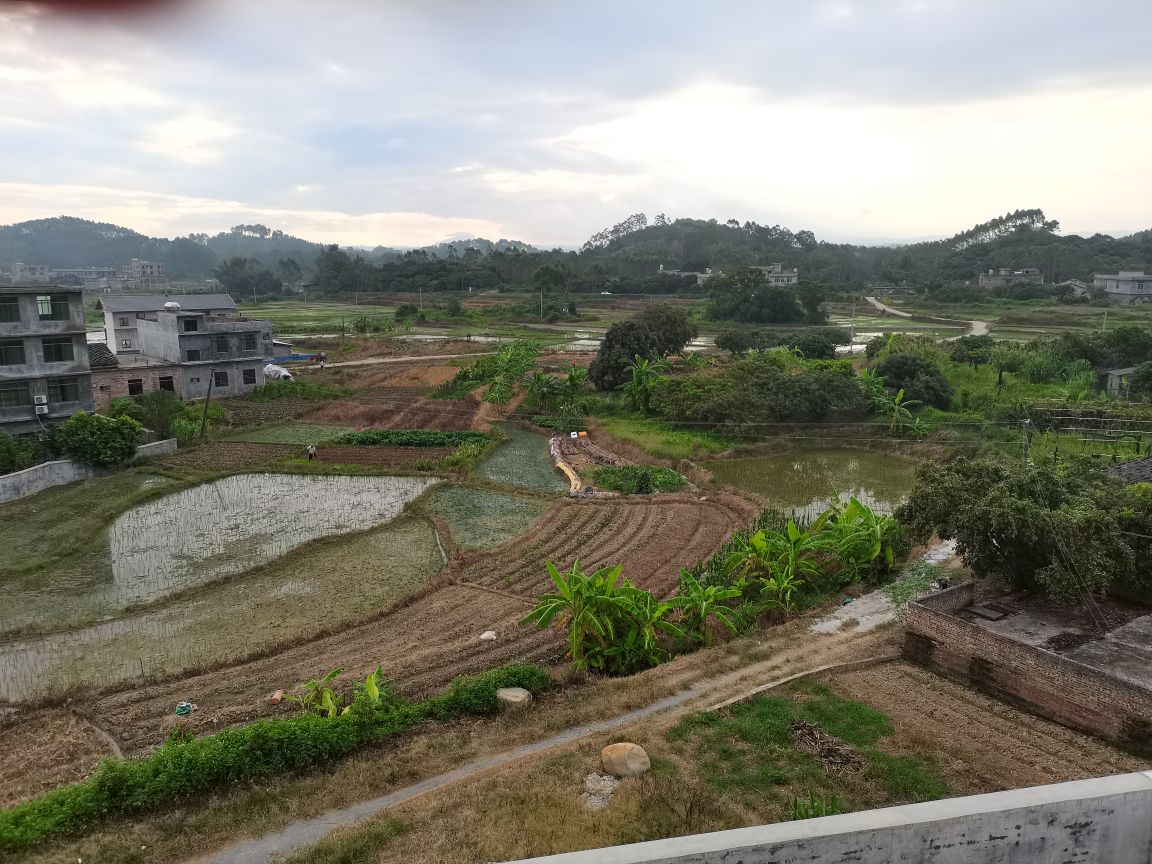 博白县博白镇桂花村铜鼓岭