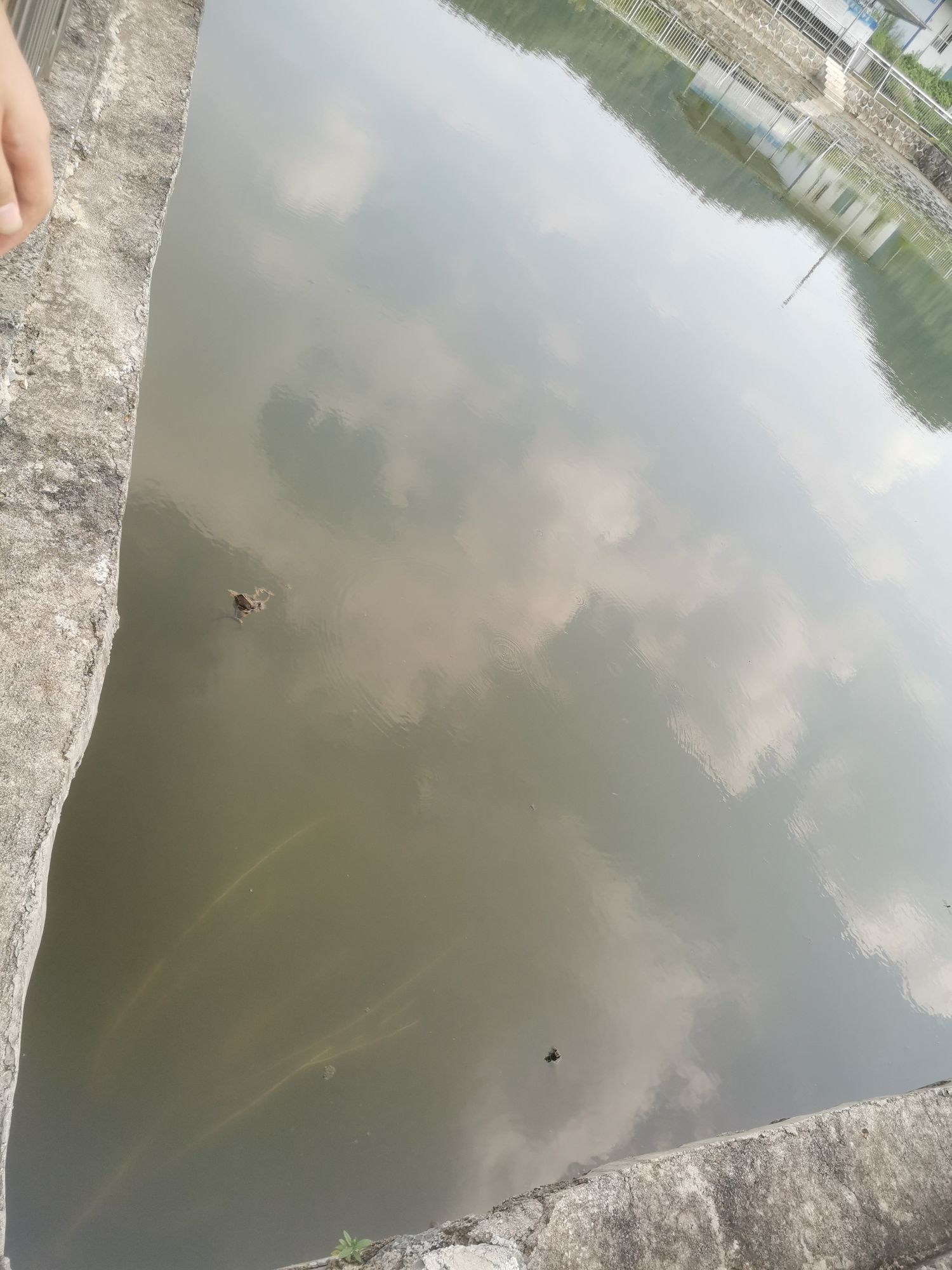 临湘市千针游泳乐园