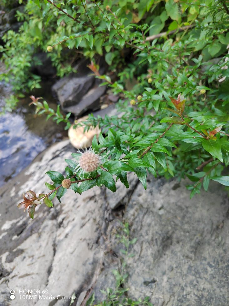 三岔鱼木河天然游泳场