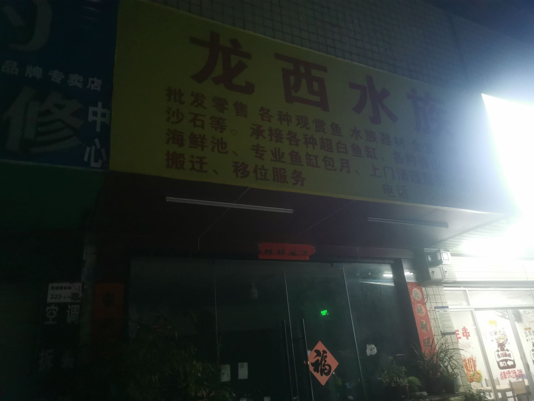 龙西水族
