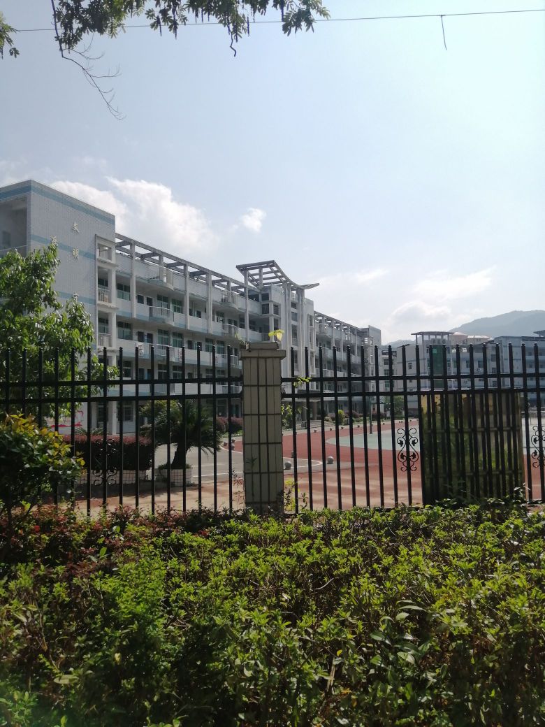 尤溪县新阳中心小学