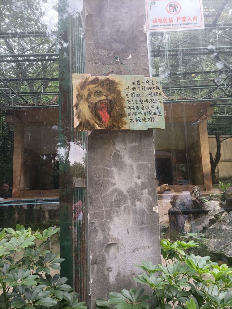 柳州市动物园-猛兽区