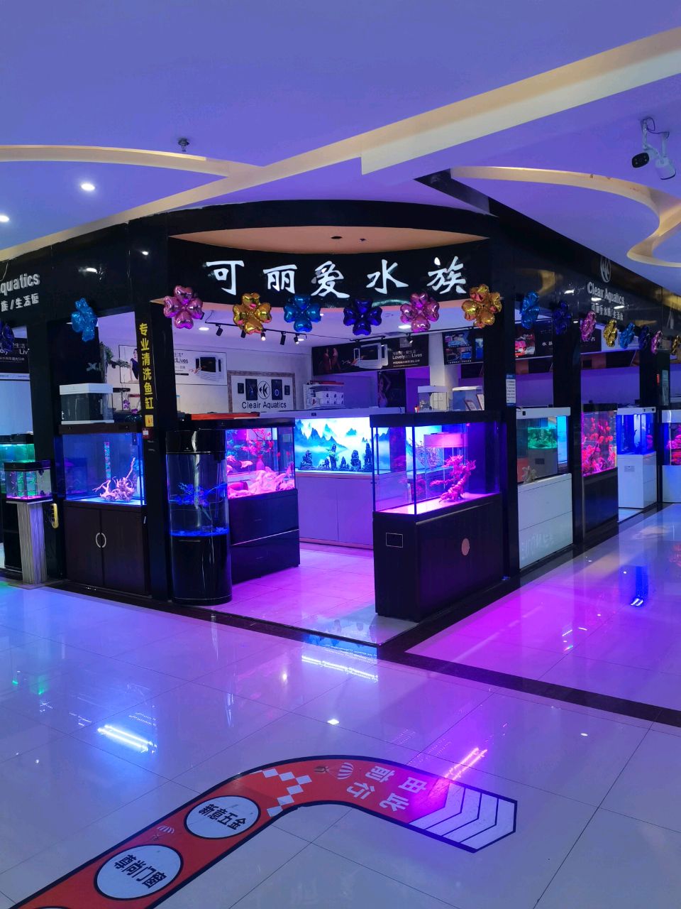 可丽爱水族(新冠森国际家具建材生活馆店)