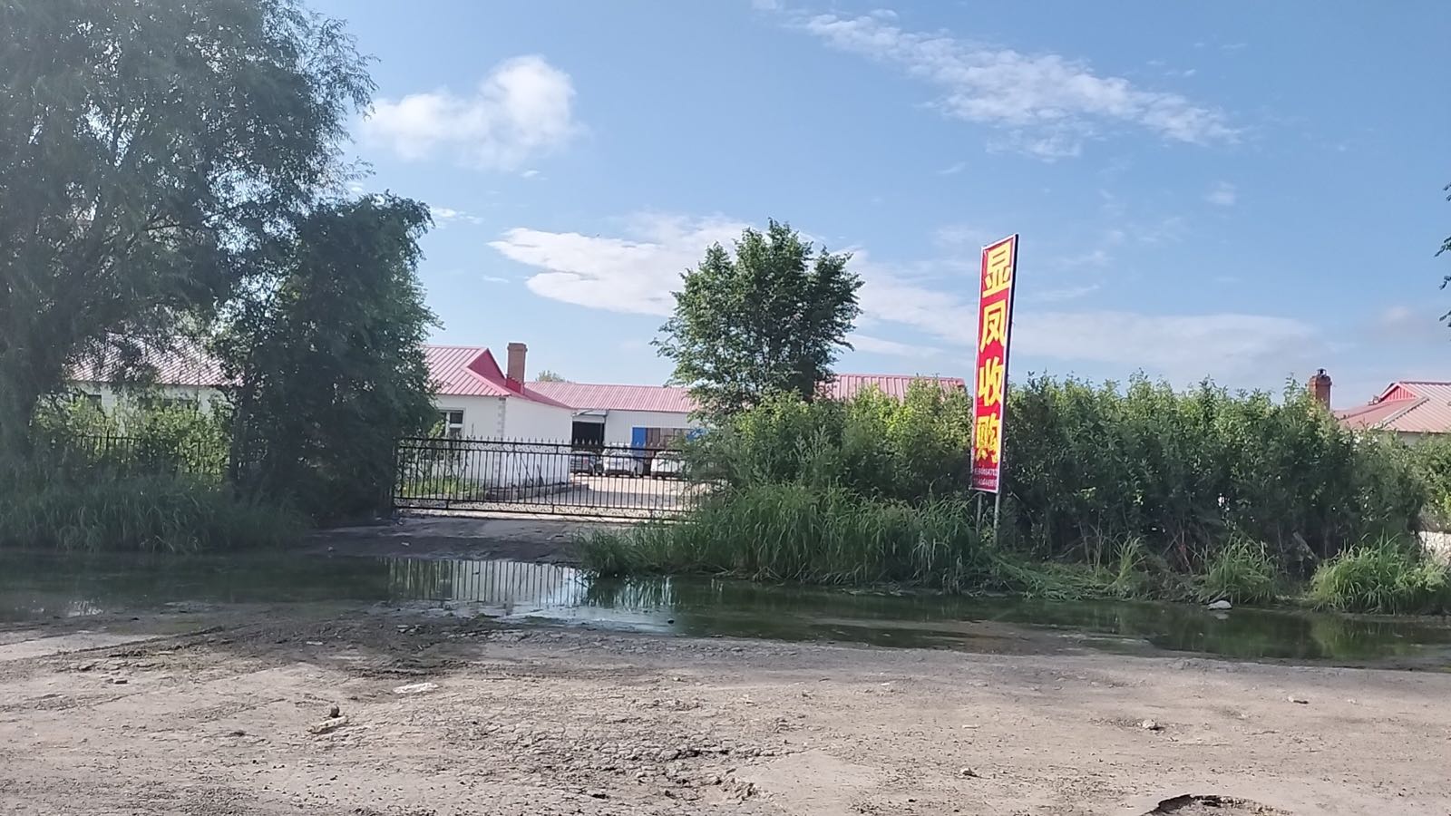 显丰收购部