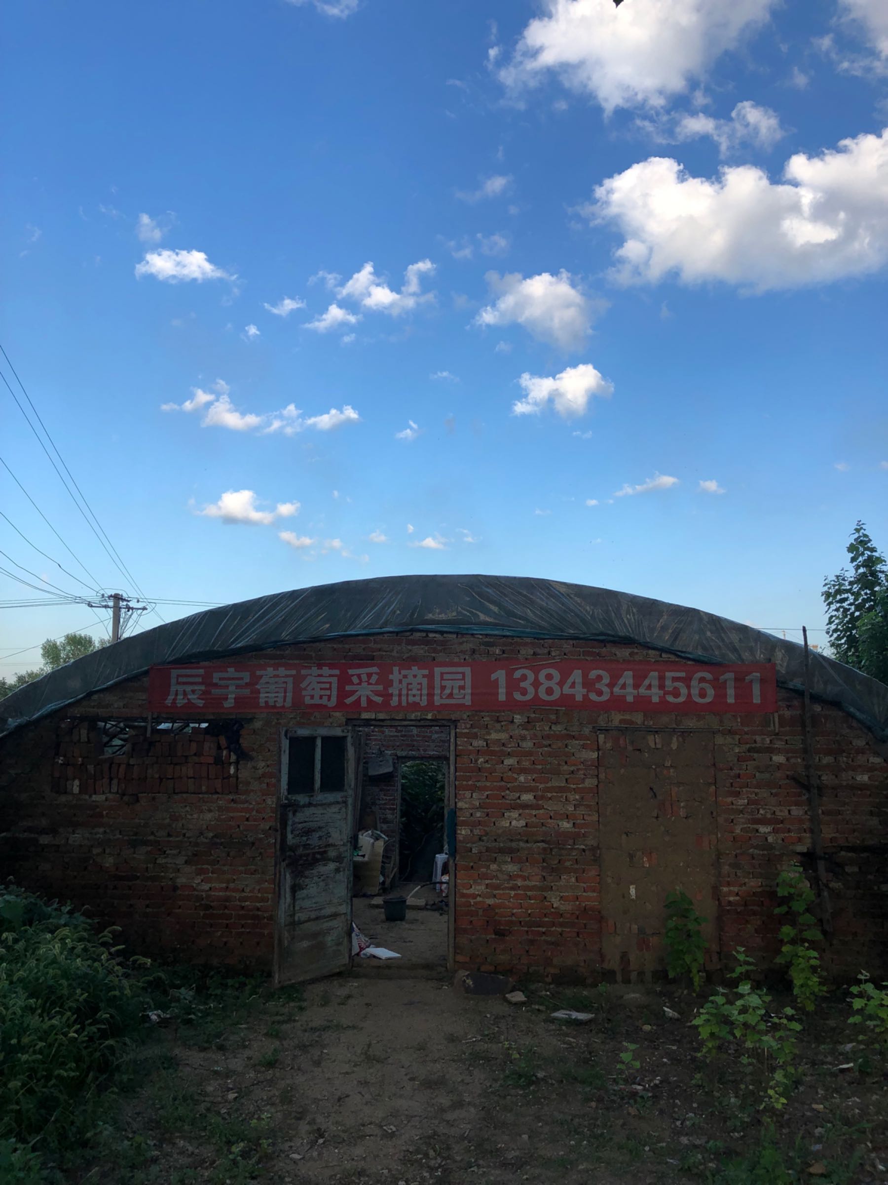 辰宇葡萄采摘园
