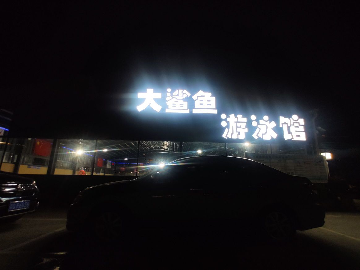 大鲨鱼游泳馆