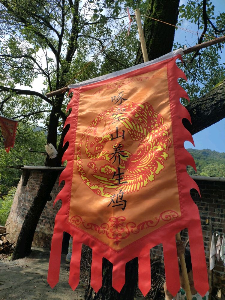 啄空山养生鸡