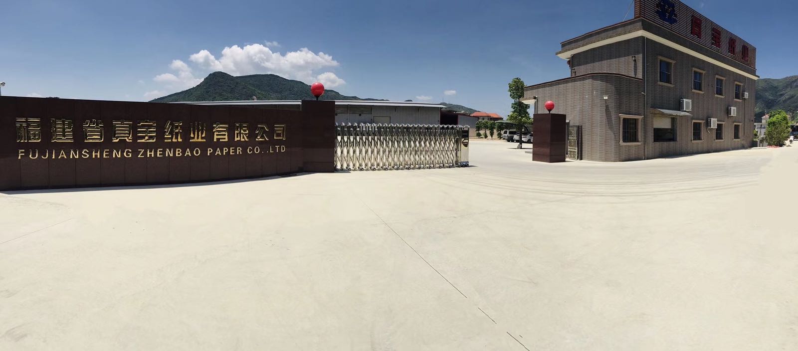 真宝纸业