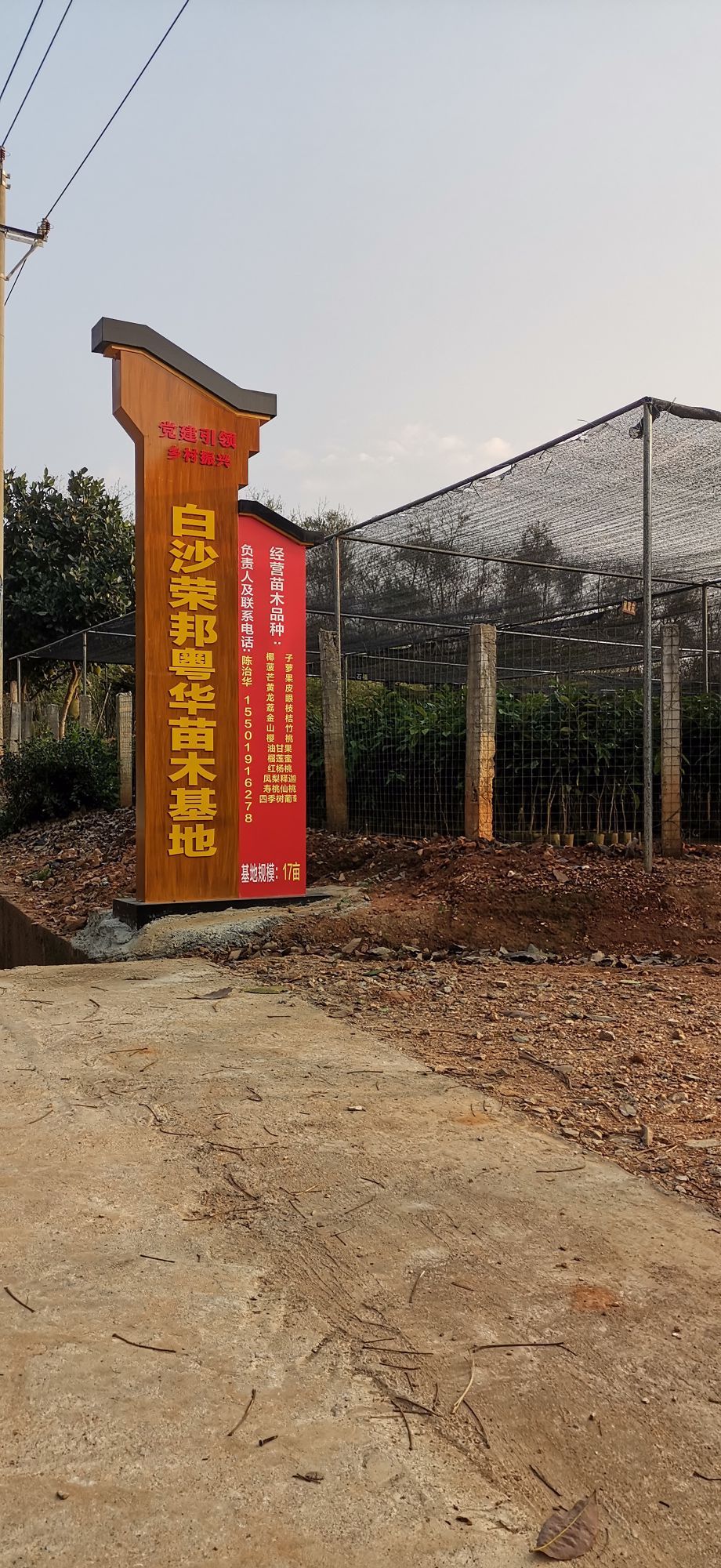 白沙大岭农场廉江华果苗场