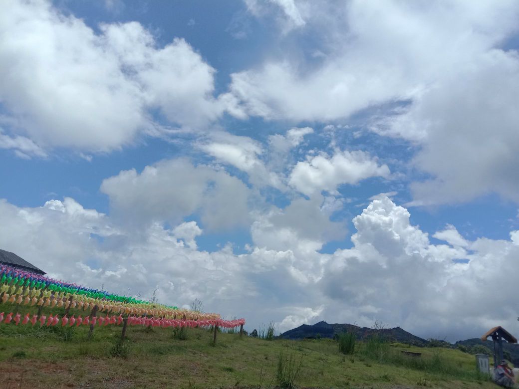 云南马关·雾缦云山风景