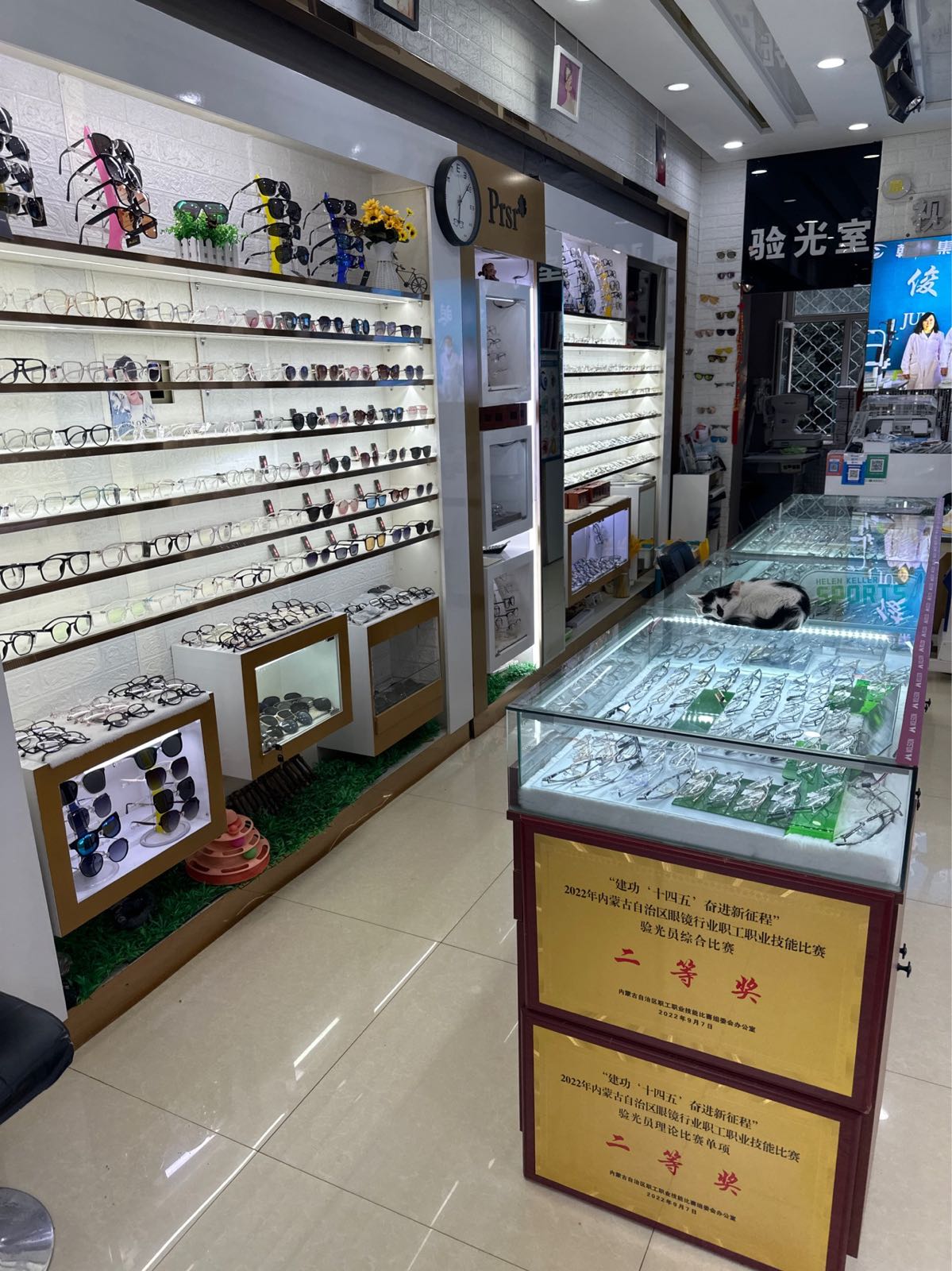 丰泰眼镜