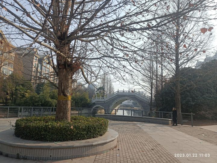 梅苑公园