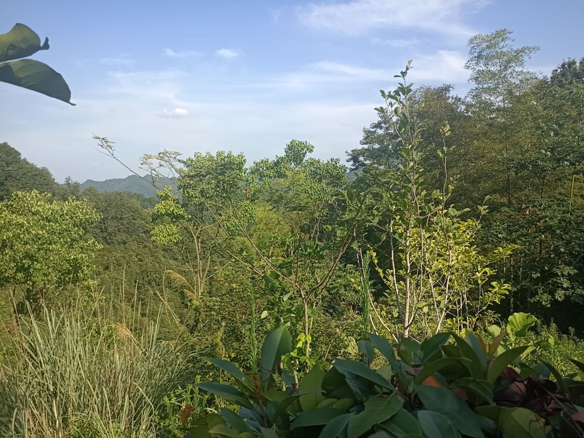 泾县月亮湾风景区游客服务中心(竹筏漂流起点)