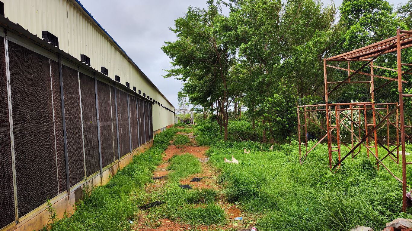 食为天生态养殖有限公司