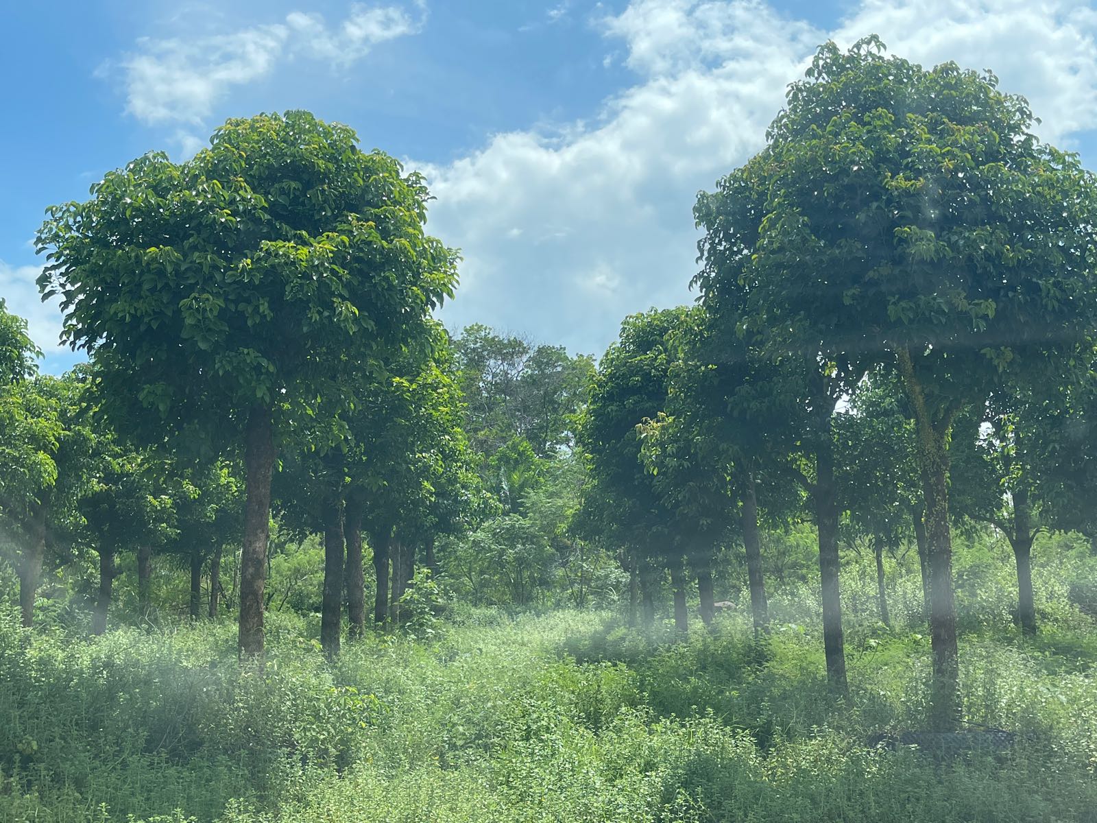 无招牌南坤基地