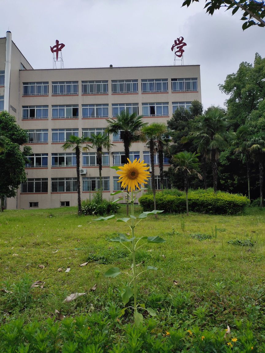 四川省泸州市实验中学-西门