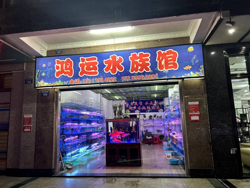 鸿运水族馆(德海路店)