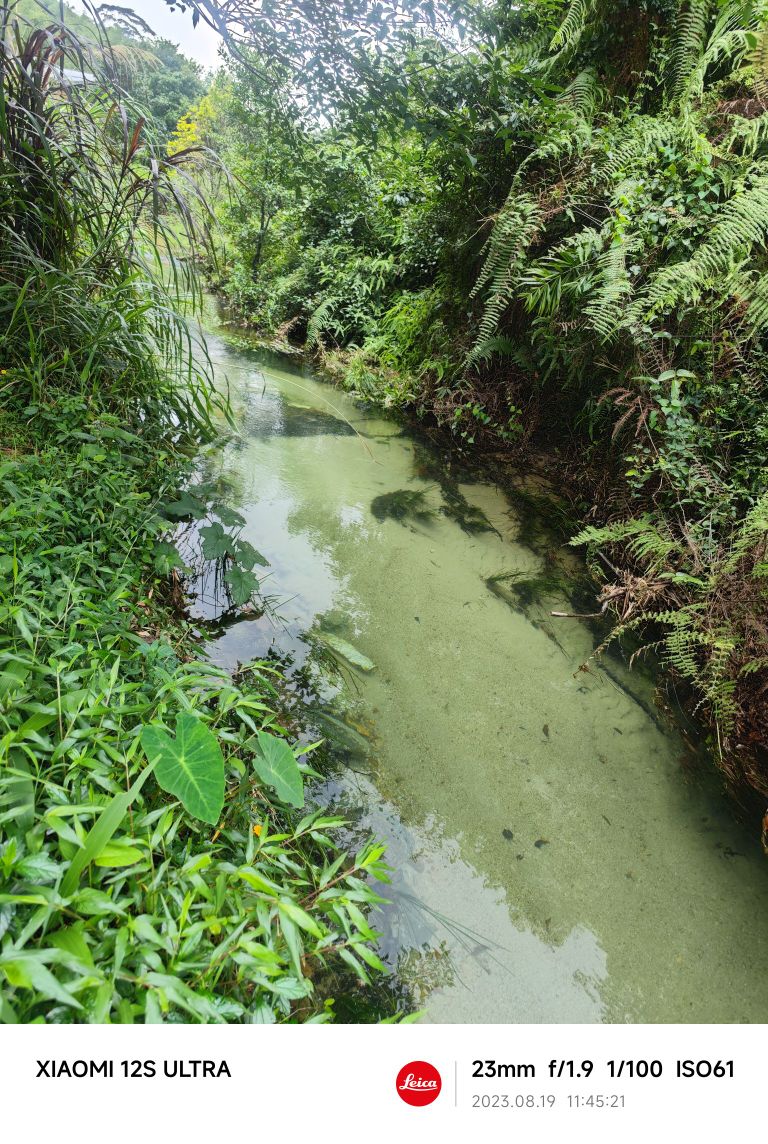 水生植物园