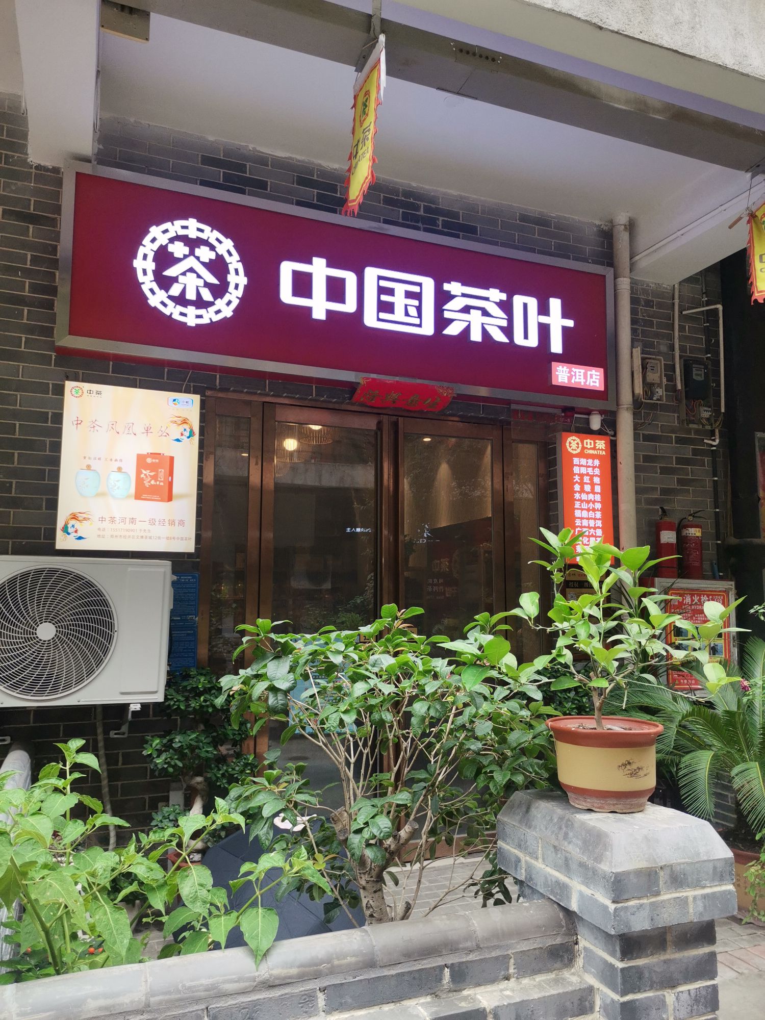 中国茶叶(海堤店)