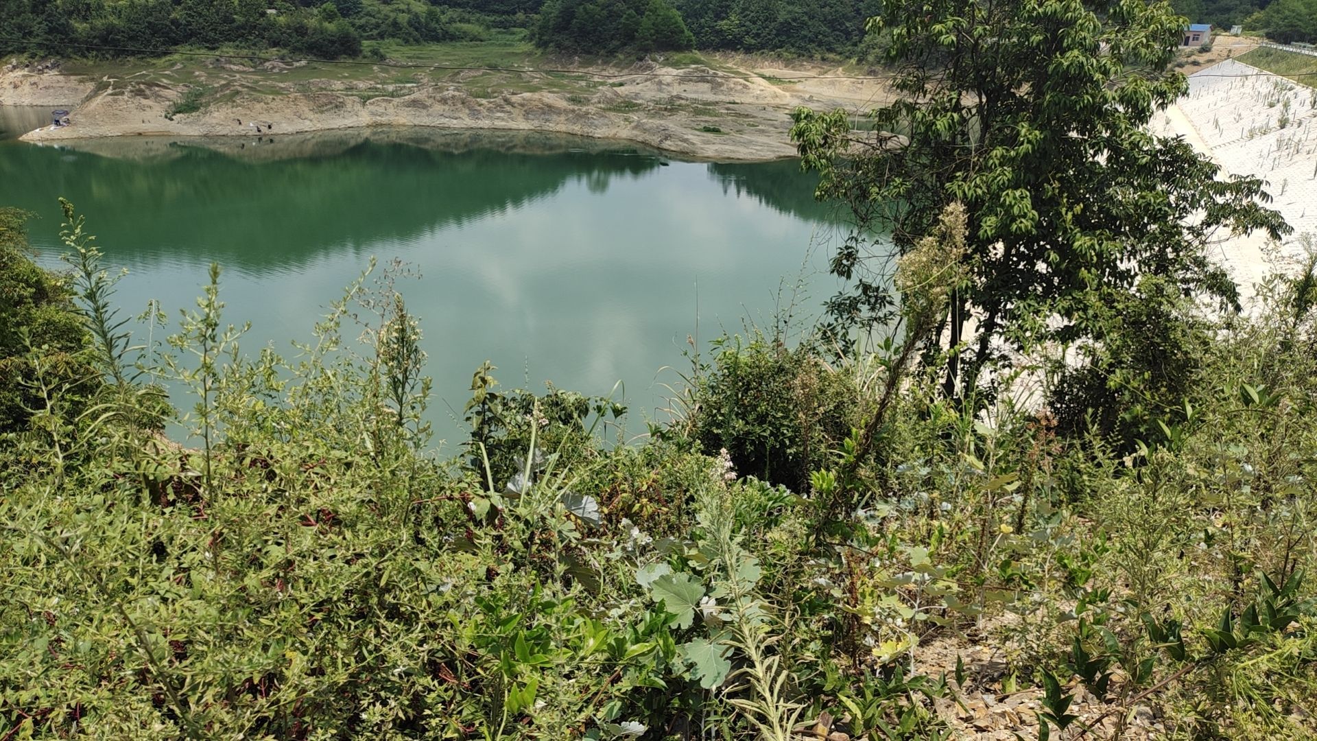 革命溪水库