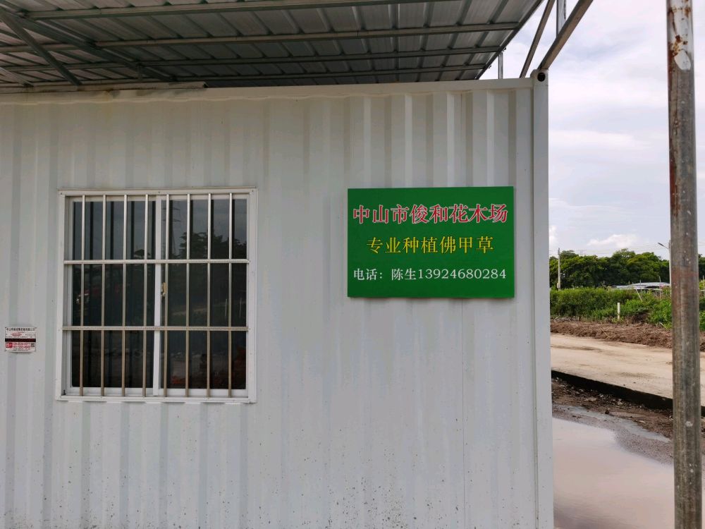中山市俊和花木场